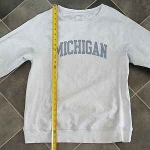 Champion Gray Michigan Sweatshirt